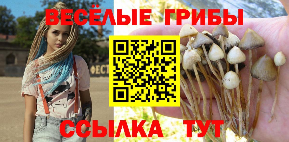 Галлюциногенные грибы мицелий Ишим