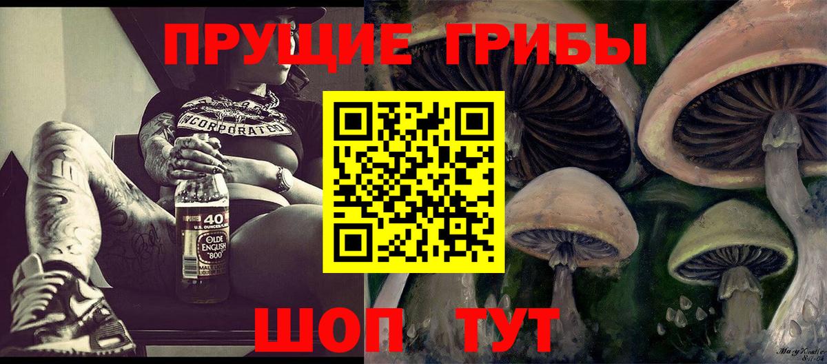 Галлюциногенные грибы Psilocybe  Вход с VPN  Ишим 